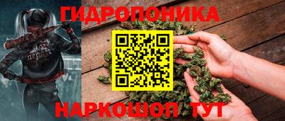 прущие крисы Кунгур