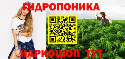 прущие крисы Кунгур