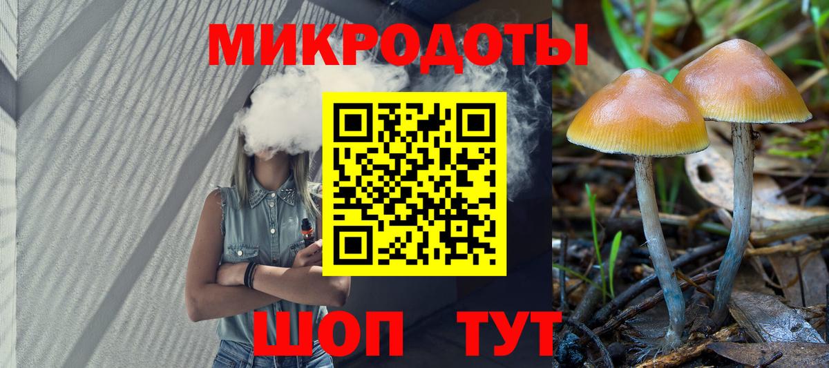 Галлюциногенные грибы прущие грибы Елабуга