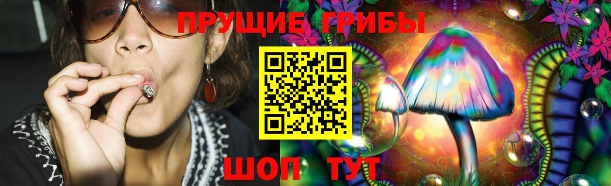 Галлюциногенные грибы Cubensis  Вход с VPN  Елабуга 